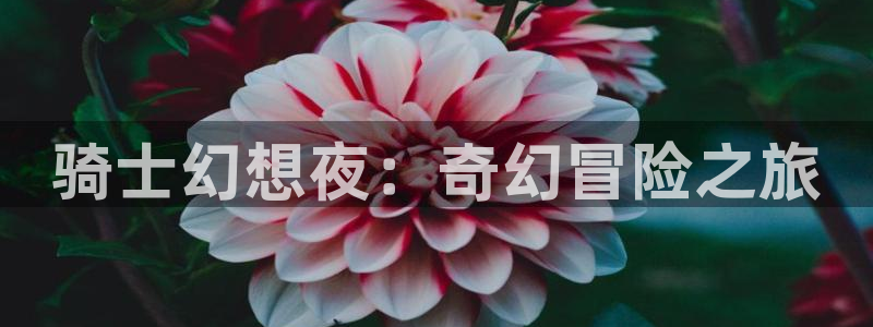 我独自升级漫画虫虫漫画